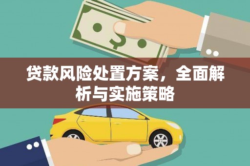 平武贷款风险处置方案，全面解析与实施策略