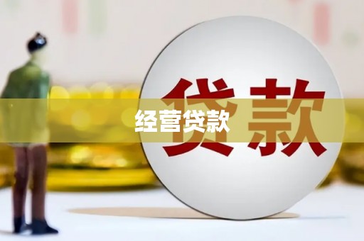 平武经营贷款
